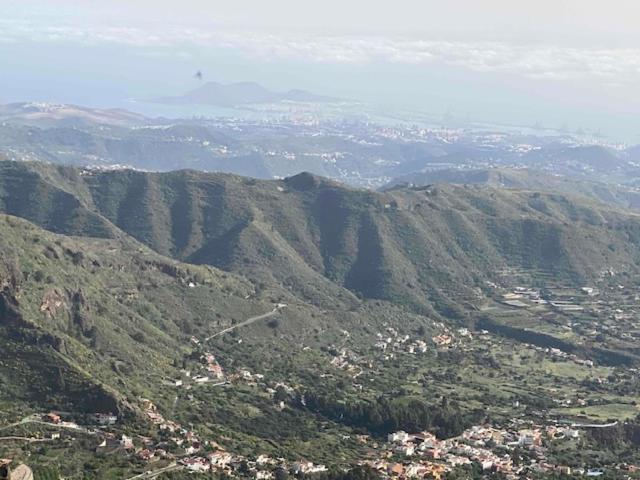 Ruta Del Tajinaste Azul Valsequillo de Gran Canaria