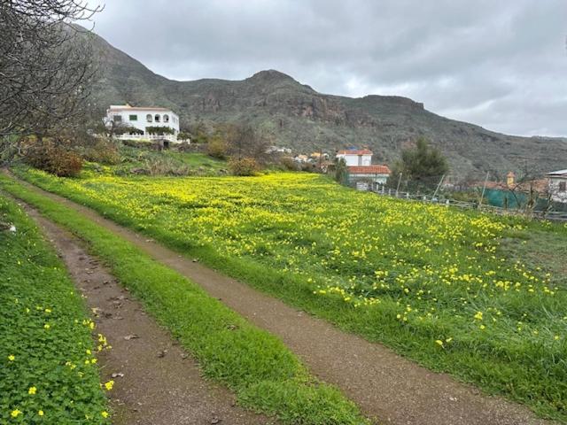 Ruta Del Tajinaste Azul Appartamento