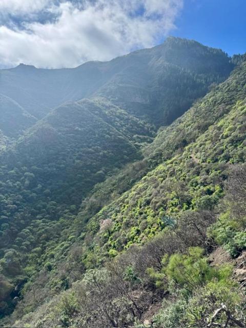 Ruta Del Tajinaste Azul
