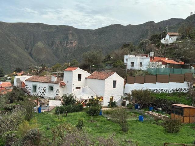 Ruta Del Tajinaste Azul Appartamento *