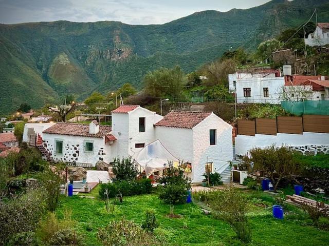 Ruta Del Tajinaste Azul Valsequillo de Gran Canaria