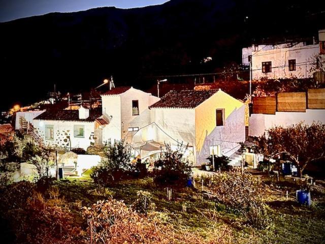 Ruta Del Tajinaste Azul