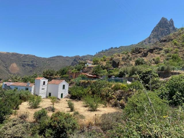 Ruta Del Tajinaste Azul Apartment *